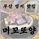 머꼬또양 | [부산명지맛집] 직접 구워주시는 깔끔한 양갈비 맛집 "머꼬또양"