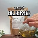 세모건담 네이버블로그