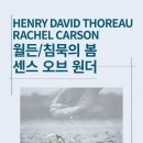 소로 소로 이미지