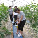 농은농장 이미지