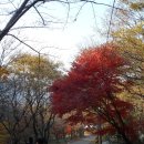 천오 이미지