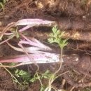 전호농장 이미지