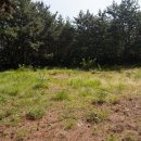 창원 가음정동 고분군 이미지