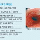 이온수기와 건강 네이버블로그
