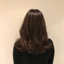머리미용실 - 아산시 순천향로 9 | 머리미용실