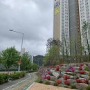 구봉초등학교(건너편) 이미지