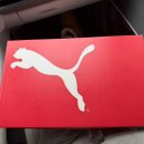 테라인터넷 | 남자 겨울 신발 추천, 퓨마 터프 테라 스웨이드 브라운 290 사이즈 착용 후기