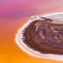 사우스 오아시스 이미지