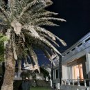 릴렌하우스 이미지