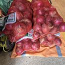 양파상회 이미지