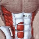 플로어칠 이미지