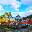 완벽한인생 이미지