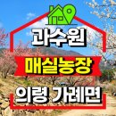 이용훈농장 네이버블로그