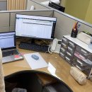 세흥병원(급식실 포함) | [신규교사 교직일기] 2025년 3월 : 혼란의 새학기..