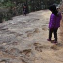 함안 명관리 공룡발자국 이미지