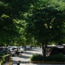 산상낙원 이미지