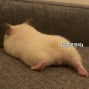 엠앤디 피트니스 | [대야동 PT] 엠앤디피트니스 대야점 PT 후기