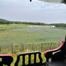 가족이 함께 떠나는 숲체험 & 놀이 - 숲속에서 만나는 동화 나라 | [제주 에코랜드에서 만나는 숲속 기차 여행, 힐링 명소 추천]