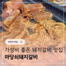 돼지꼬리천국 | 가성비 좋은 부전역맛집 마당쇠돼지갈비 돼지갈비 후기