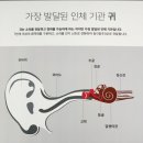 부산제일보청기 | 남포보청기 친정엄마 정부에서 지원하는 보청기 맞춘 후기