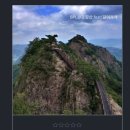 backpackers Korea