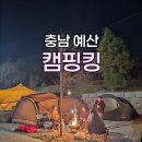 자은 이팝나무 가로수길 | [충남 예산] 캠핑킹 관광농원 / 사이트 및 공용시설 총 정리 / 솔직후기
