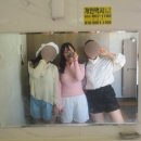 염해섬