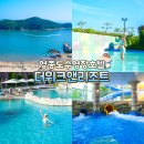르빵17 | 영종도 호텔 더위크앤리조트 오션뷰 수영장 인천 호캉스