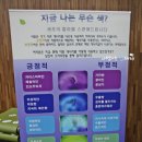 주식회사 모아관광 이미지