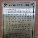 배호배호 이미지