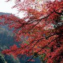 백산한의원 이미지