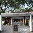 [대구] 카페 새소리 / 앞산공원 신상카페 / 분위기 좋은 카페 / 내돈내산 솔직후기