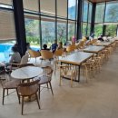 만발 | [공주 카페] 황화코스모스 만발한 숲너울 후기