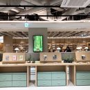 브라이튼독 이미지