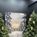 구남숙힐링뷰티스토리 | 성수 팝업 11월 성수데이트 라부르켓 무신사 뷰티