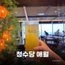 카페;애월 | 분위기 좋은 제주 애월 카페 청수당 애월 내돈내산 솔직후기 주차가능