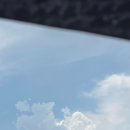 전라중학교 | 8월2주차 신규교행라고 쓰고 주정뱅이라고 읽어요