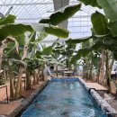 솔아농장 | 단솔이랑_ 함평 바나나 생태 나라에 다녀왔어요.(솔직리뷰)