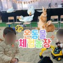 오티농장 | 시흥 동물 먹이주기 모래놀이 가능한 온동물체험농장 겨울에도 따뜻해요 시간제한 없음 입장료 8,000원...