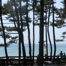 솔밭쉼터 이미지