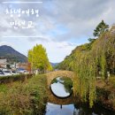 원다리길 | 만년교 연지못 힐링 산책 창녕 여행 국가 유산 필수 코스 주차 정보