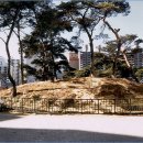 중산동 고분군 이미지