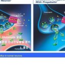 금호온누리약국 이미지