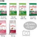 로얄펫동물병원 이미지