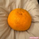 자연족욕연구소 | 자연족욕연구소 서울 성북 족욕 체험 카페 내돈내산 솔직후기