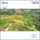 선 태양광발전소 이미지
