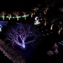 표선면 동산식당 이미지