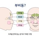 코숨한의원네트워크 이미지