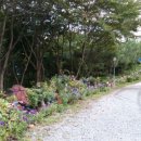 생아구랑 대구랑 이미지