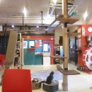 청춘 고양이 카페 이미지